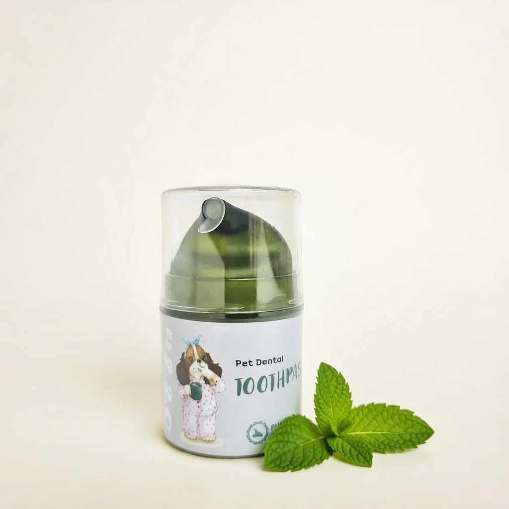 💜新品上架【梨花娘總代理】🫧韓國獸醫推薦PUMBLEPET 🌿市售唯一🙌🏻薄荷清新口腔管理寵物潔齒食品級螺旋藻真空瓶牙膏30g(犬貓適用)