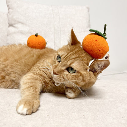 🆕新品上架【梨花娘】💖韓國高端品牌 WETNOSE 韓風軟萌搖粒絨 ‧ 傲嬌小橘子寵物帽 🍊 (手工製作，等待期約10~15天)