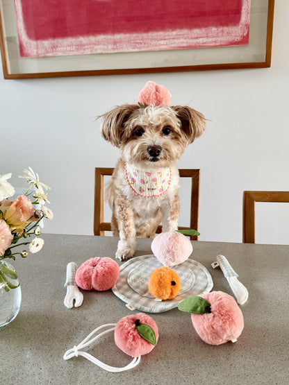 🆕新品上架【梨花娘】🌾韓國高端品牌 WETNOSE【桃氣登場】毛孩專屬天然羊毛沙沙紓壓桃寵物玩具 (手工製作，等待期約10~15天)