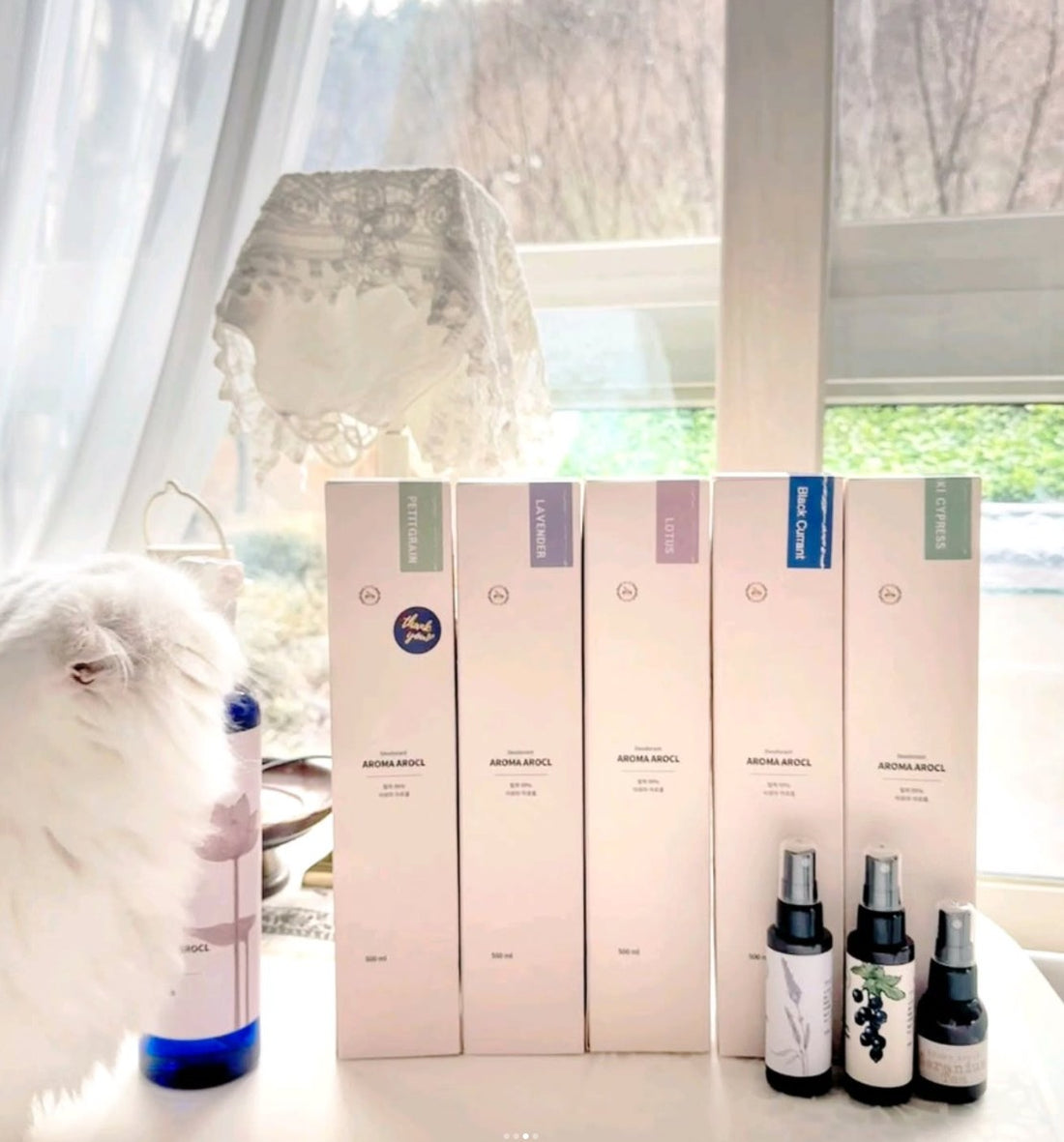 💜新品上架【梨花娘總代理】🔥暢銷 韓國國際調香師PUMBLEPET  OIL天然植萃複方精油分解臭味菌掰掰香氛噴霧 50ml/500ml