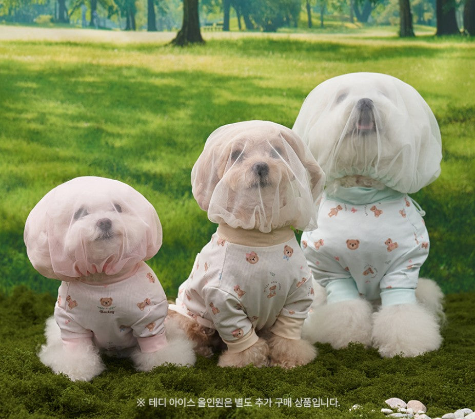 💕【梨花娘總代理】🐾韓國BAILEY 🐶夏季外出透氣防蟲防誤食面罩(4色)