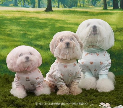 💕【梨花娘總代理】🐾韓國BAILEY 🐶夏季外出透氣防蟲防誤食面罩(4色)