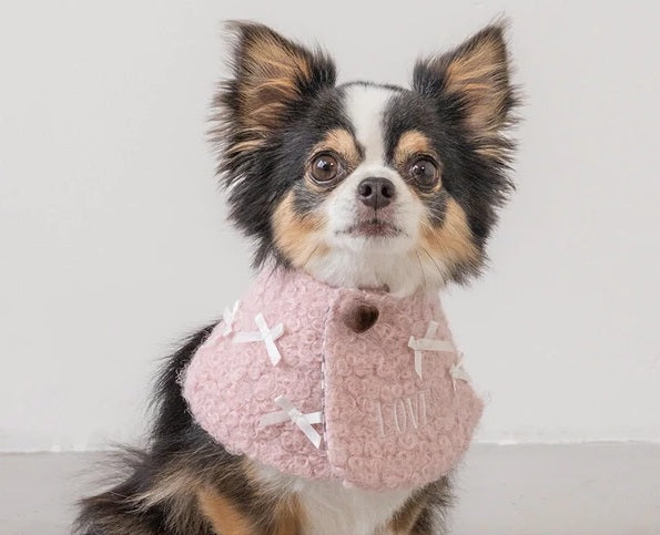 新品上架【梨花娘總代理】🐾日本品牌Solgra  冬日甜心刺繡毛呢蝴蝶結愛心寵物領巾🐶（S~L）